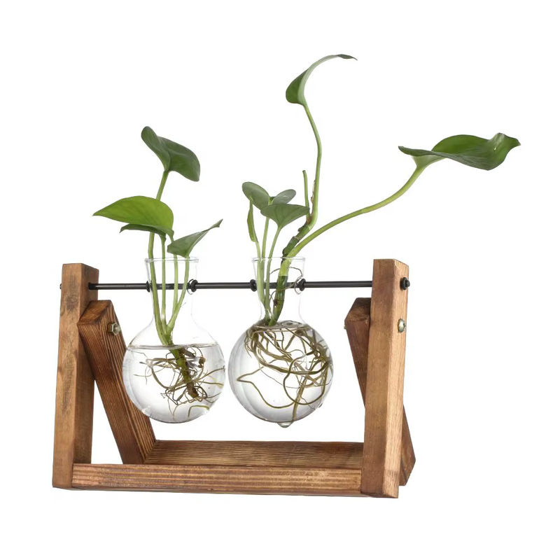 Vintage Hydrokultur Pflanzenvase aus Glas mit rundem Holzrahmen für Bonsai und Terrarium, transparent - Bild 4
