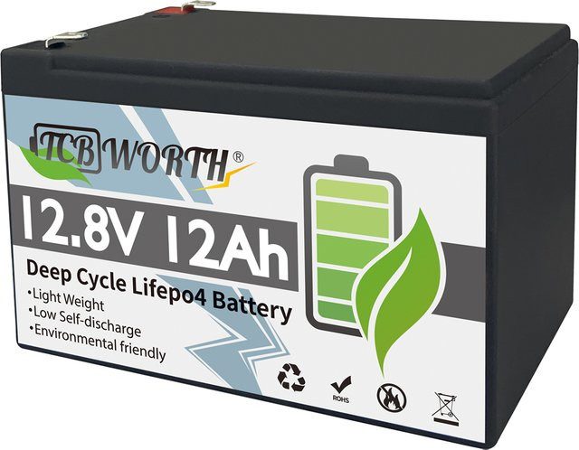 TCBWORTH LiFePo4 Lithium-Eisenphosphat-Akku 12V mit integriertem BMS in Schwarz - Bild 1