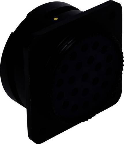 TE Connectivity CIRH03T36A22PCNF80M32V0 Steckverbinder in Schwarz - Bild 1