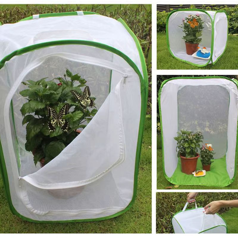 Faltbarer insektsicherer Sämlingskäfig für Obst, Gemüse, Blumen und Kräuter B/T/H: 60 x 40 x 40 cm - Bild 2
