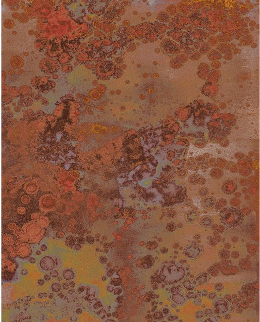 Komar Fototapete Vlies Patina Multicolor B: 200 cm x H: 250 cm - Bild 1