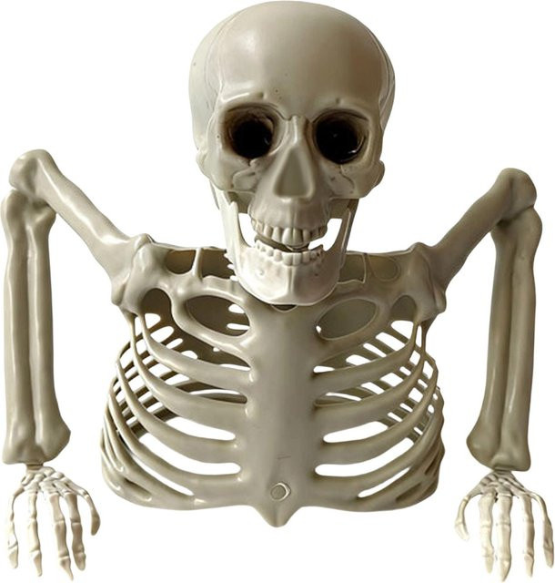 FOXER Halloween Skelett-Torso Lebensgroßes Knochen-Requisit in Weiß für Innen- und Außenbereich - Bild 1