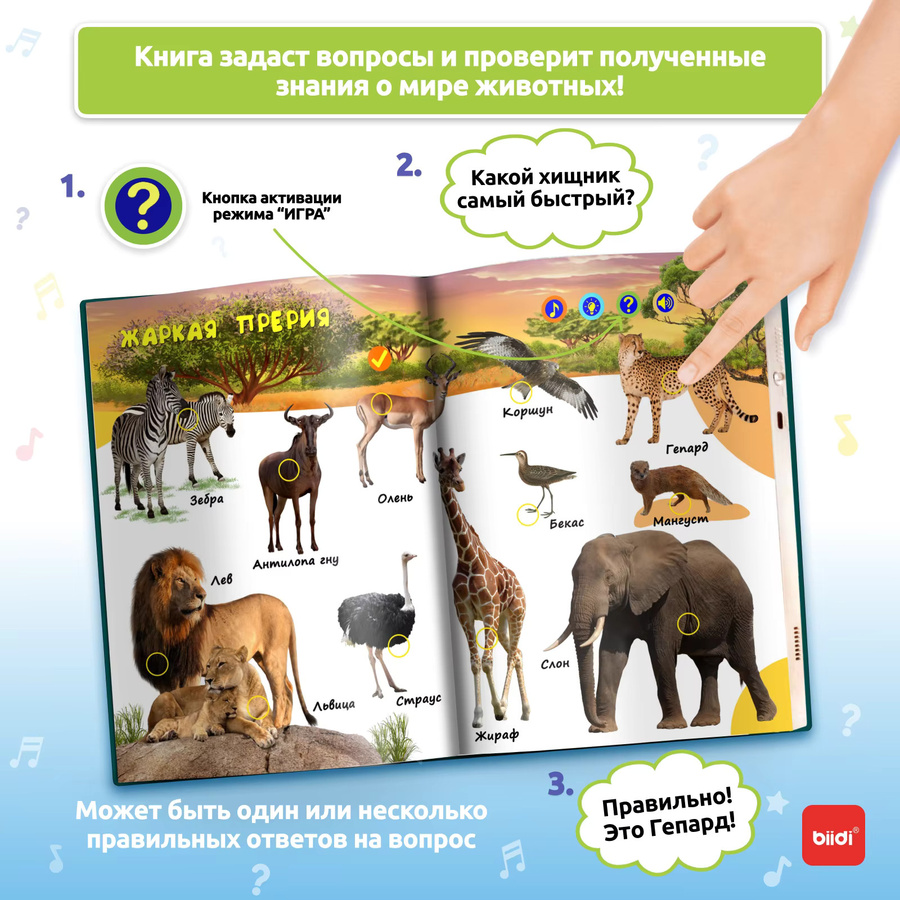 Biidi Montessori Lernbuch, elektronisches Lernspiel, russisch, ab 2 Jahre - Bild 2