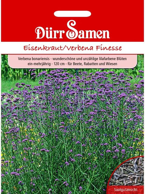 Dürr Eisenkraut Finesse Saatgut für lilafarbene Blüten, 100 g - Bild 1