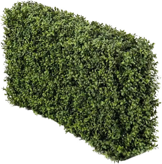 Künstliche Buchsbaumhecke Jannis von Aplanta in Grün, B/H: 100 x 50 cm - Bild 1