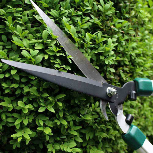 Siena Garden Heckenschere aus Karbonstahl in Silber und Grau mit 205 mm Klingenlänge - Bild 2