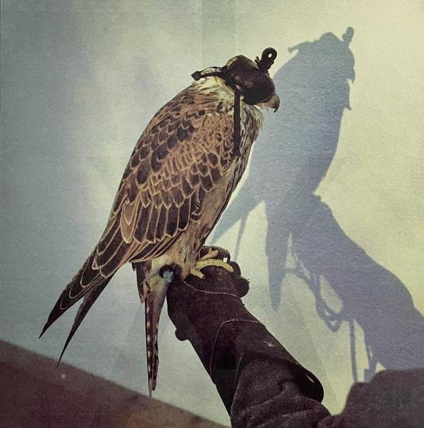Iceage You're Nothing LP Schallplatte Matador 2013 US Rock Grau - Bild 1