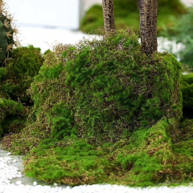 ON-Merit Kunstrasen Kunstmoos in Grün für Wanddekoration und DIY Mikro Landschaft Zubehör, B/T: 50 x 50 cm - Bild 1
