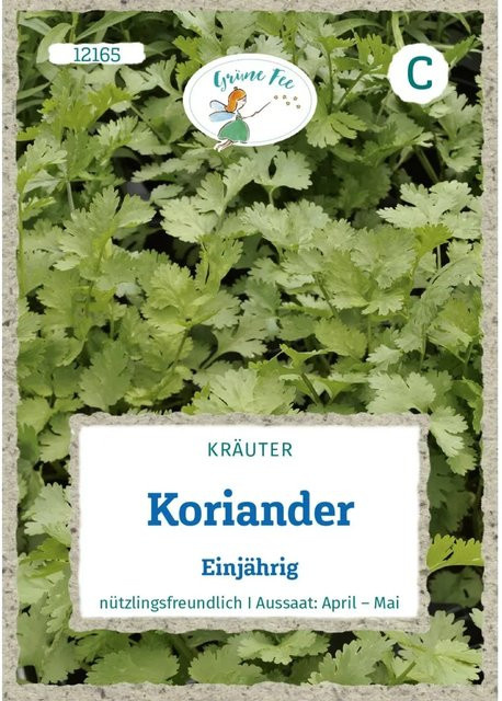 Grüne Fee Koriander Einjähriges Saatgut - Bild 1