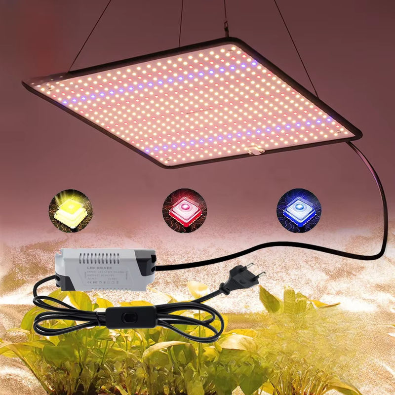 TRANYTON LED-Wachstumslicht Vollspektrum Phyto-Lampe 40 W für Indoor-Wachstumszelte und Pflanzen - Bild 5