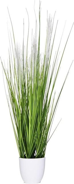 Vivanno Kunstpflanze Pampas Gras in Grün, B/T/H: 15 x 15 x 80 cm - Bild 1
