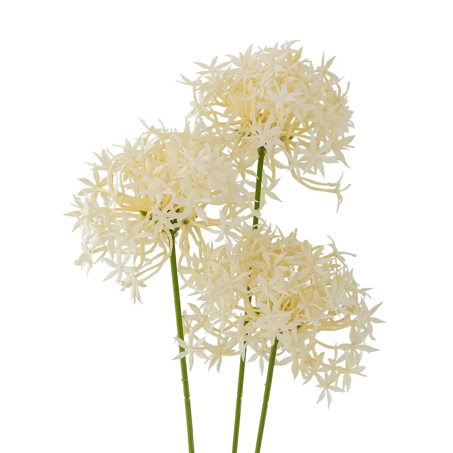 Bloomingville Allium Blume in Weiß als Kugel - Bild 1