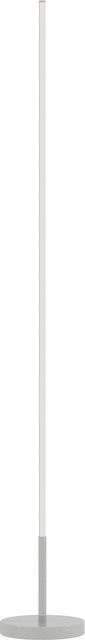 HOMCOM LED Stehlampe in Silber mit Fernbedienung und dimmbarer Farbtemperatur für Wohnzimmer, Schlafzimmer oder Büro, B/T/H: 20 x 20 x 150 cm - Bild 1