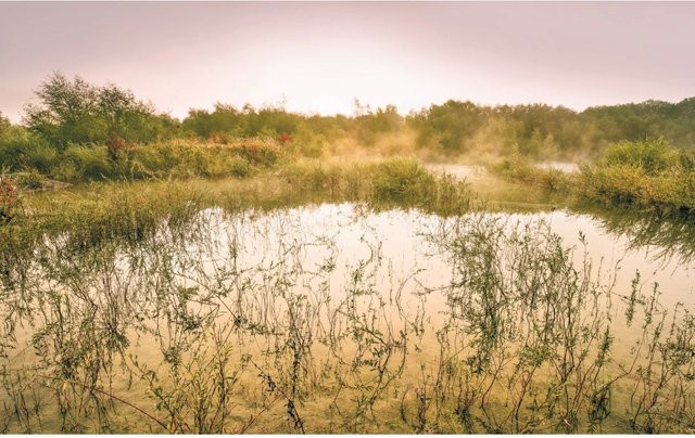 Komar Fototapete Vlies Morning View II Multicolor B: 400 cm, H: 250 cm - Bild 1