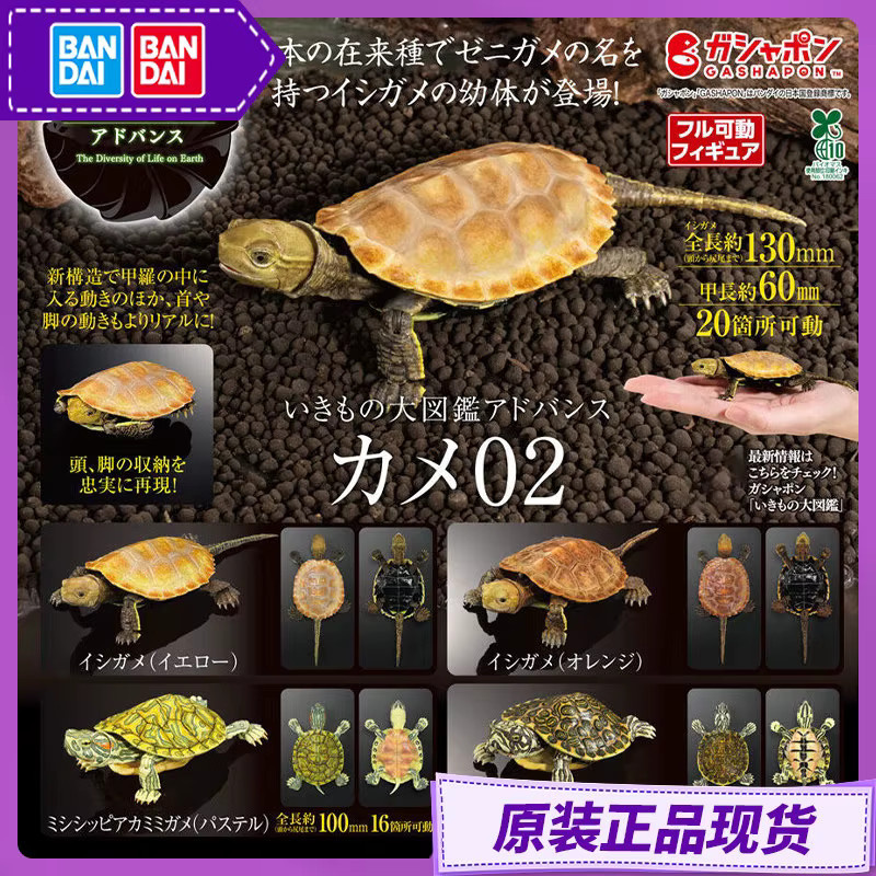 Bandai Gashapon Turtle Actionfigur, japanische Steinschildkröte, beweglich - Bild 2
