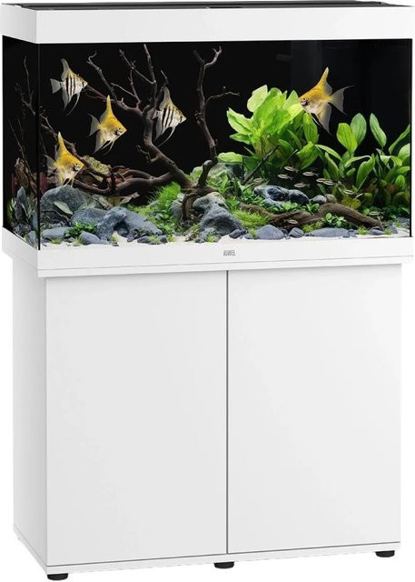 Juwel LED-Aquarium-Kombination Rio 290 in Weiß - Bild 1