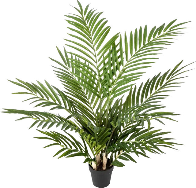 Künstliche Goldfruchtpalme Eva von Aplanta, Höhe: 80 cm - Bild 1