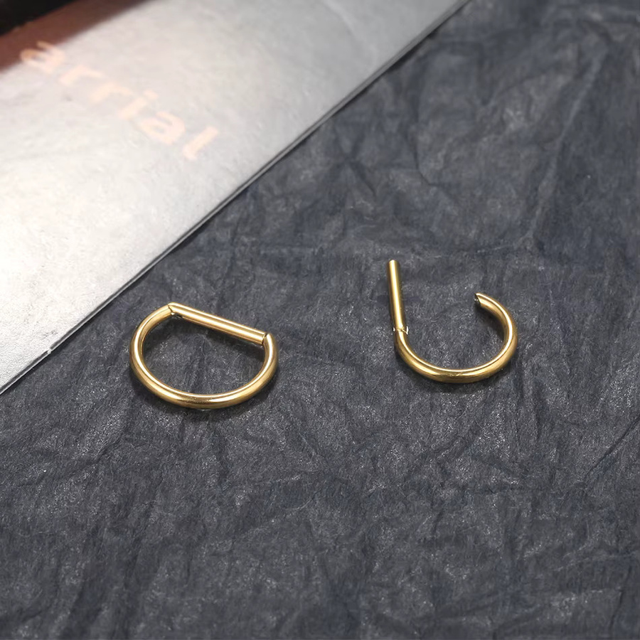 SWANJO Piercing Segment Ring Clicker, Titan, Unisex, 16G - Bild 2