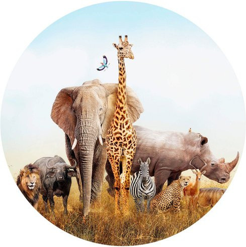K&L Wall Art Runde Vliestapete Afrika Safari Tiere mehrfarbig matt - Bild 1