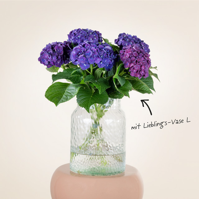 BLUME2000 Hortensien Strauß lila 5 Stiele Größe L - Bild 1
