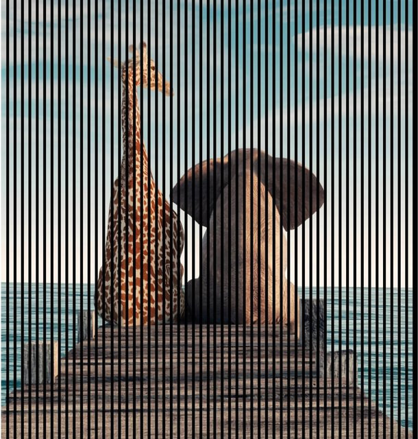 FN Acustico Akustikplatte Love 1 in Multicolour aus MDF und PET, H x B x T: 240,0 x 225,3 x 1,9 cm - Bild 1