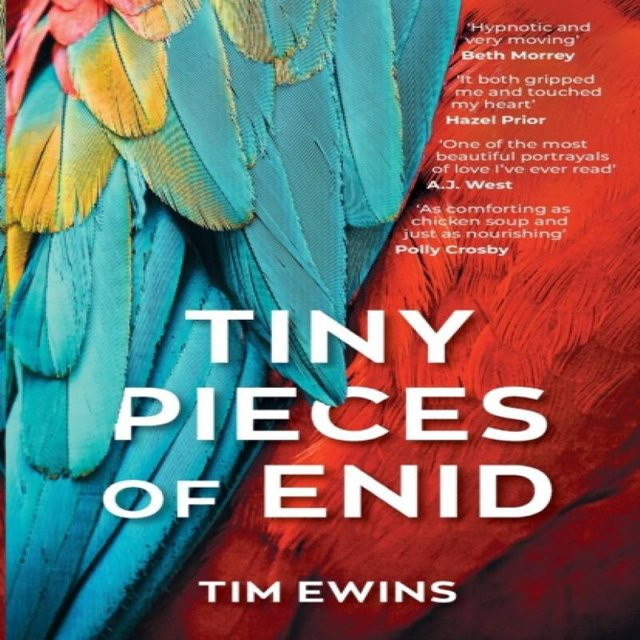 Tiny Pieces of Enid von Tim Ewins Taschenbuch 9781785633102 - Bild 1