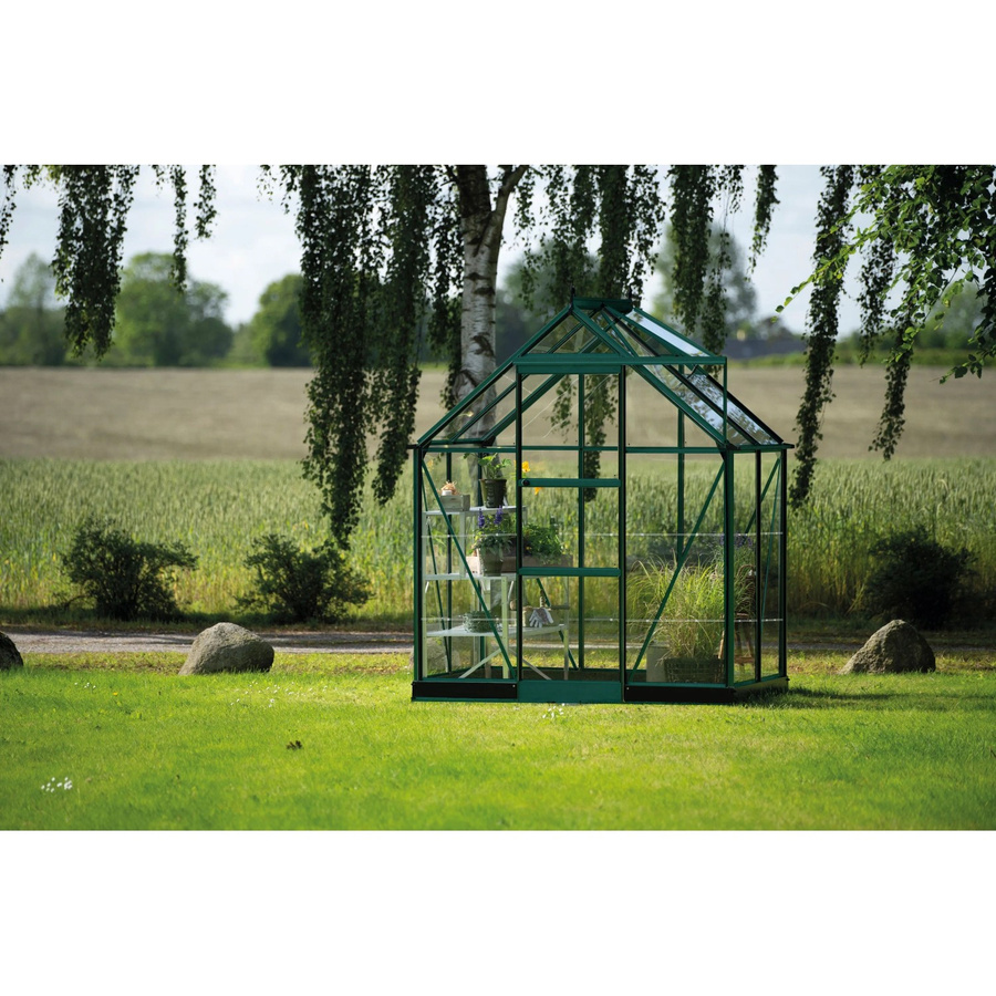 Halls Gewächshaus Icon 6 in Grün mit Glas und Satteldach für die Pflanzenzucht, 2,5 m² - Bild 2
