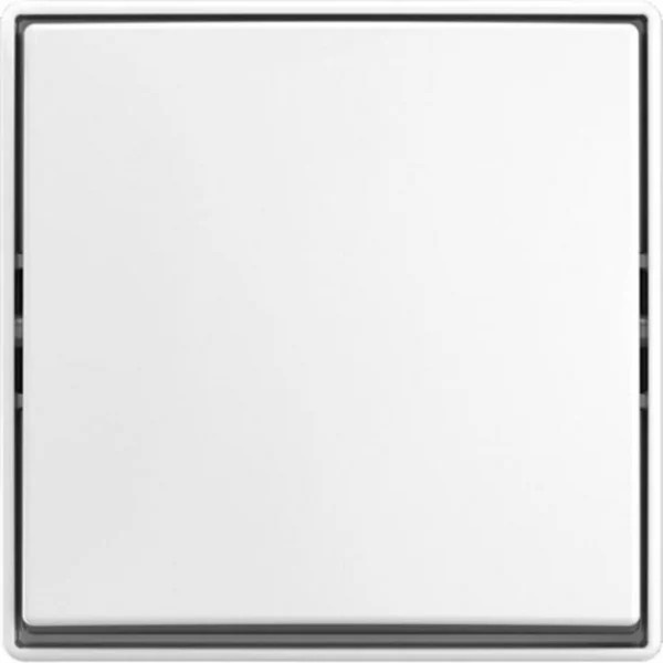 Busch-JD Schalter Wippschalter AP 2601/6 J-524 - Bild 1