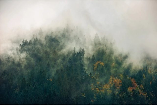 Komar Fototapete Vlies Tales of the Carpathians Multicolour B: 300 cm, H: 200 cm - Bild 1