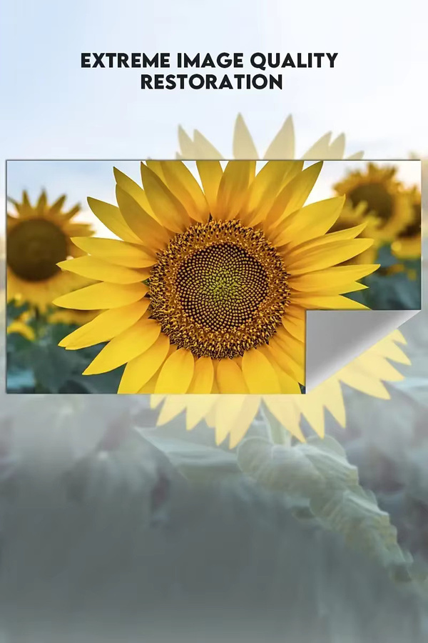 Hochauflösende 4K-Projektionsleinwand mit Blendschutz in Grau, 60-110 Zoll, ohne Bohren installierbar - Bild 2