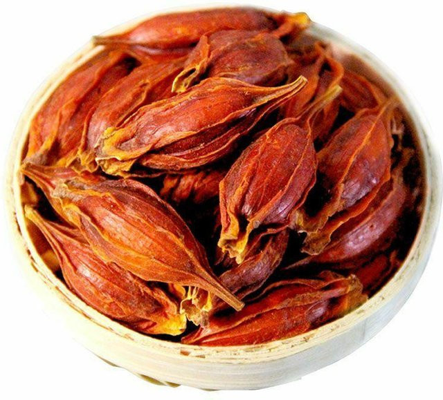 HALLOYOUNG Kap-Jasmin-Frucht Gardenia Zhi Zi 250 g - Bild 1