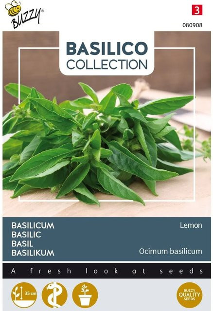 Buzzy Basilikum Lemon Saatgut mit frischem Zitronengeschmack, 1,5 g - Bild 1