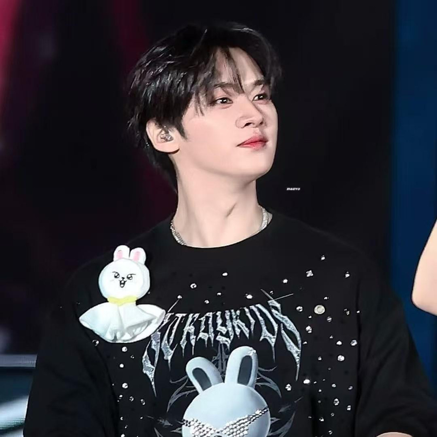 Stray Kids SKZOO Wolf Chan Stofftier - Bild 2