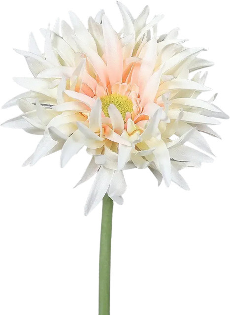 Künstliche Gerbera gefranzt von Aplanta Hajo, Höhe: 57 cm - Bild 1