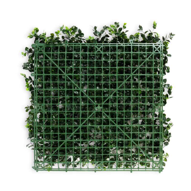 FLOORDIREKT Pflanzenwand Pachysandra grüne Kunstpflanzen zur Wandmontage, B/H: 50 x 50 cm - Bild 4