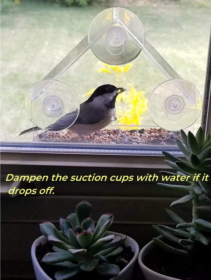 Transparente Acryl-Vogelfutterstation zum Aufhängen für die Wildtierbeobachtung im Garten und Außenbereich - Bild 5