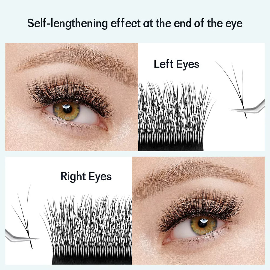 NATUAHANA Fox Eye W-förmige 3D 4D 5D Volumen-Wimpernverlängerungen, Unisex - Bild 2