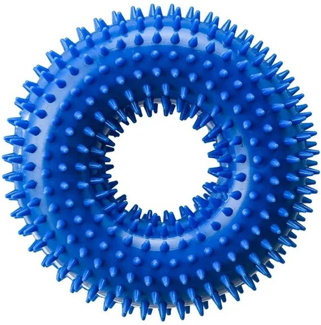 Binchi Outdoor Product Stacheliger Ring, Hundespielzeug, blau, 1 Stück - Bild 1