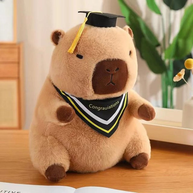 Yiran bag Absolventen Plüschpuppen Capybara Eule Bär Plüschtier - Bild 1