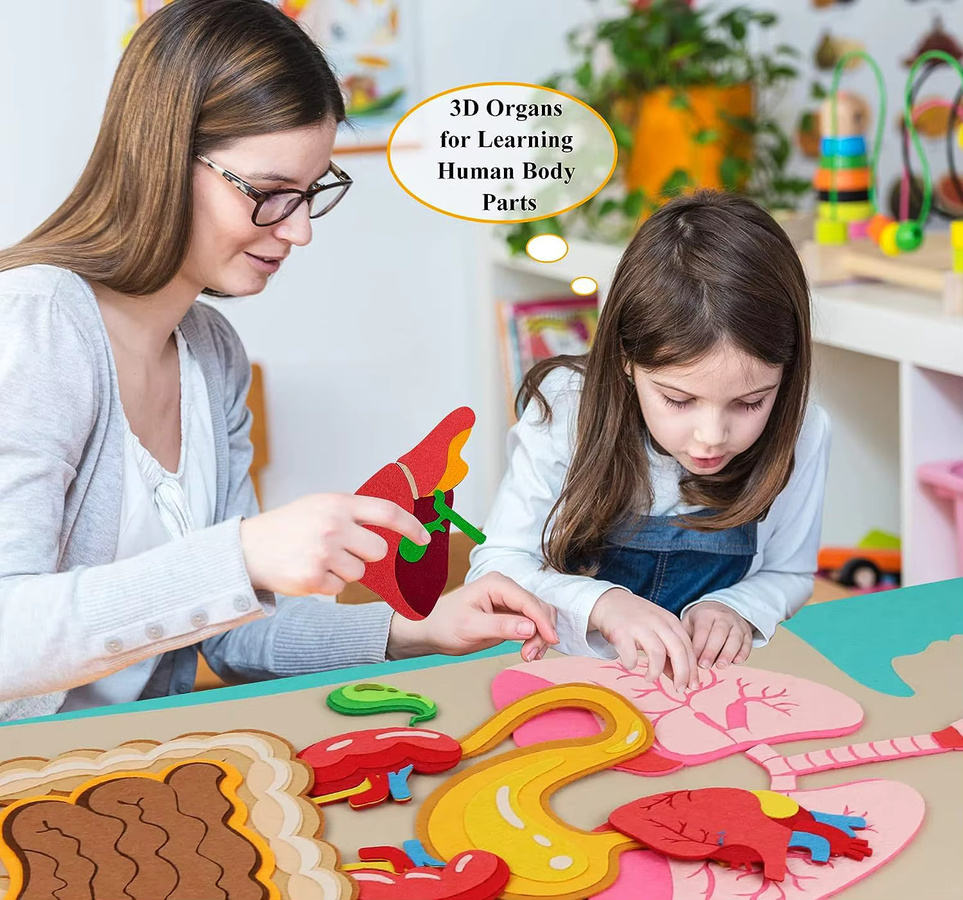 BizyKoady Montessori-Körperteile-Set, Filzbrett, Tiere, Bunt / Mehrfarbig - Bild 2