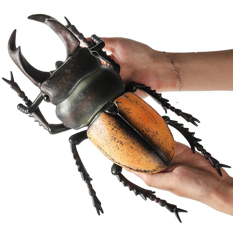 Oenux Insektenmodell Coleoptera Lucanidae Käfer Dynastes Hercules Actionfigur Lernspielzeug für Kinder 3-6 Jahre - Bild 3