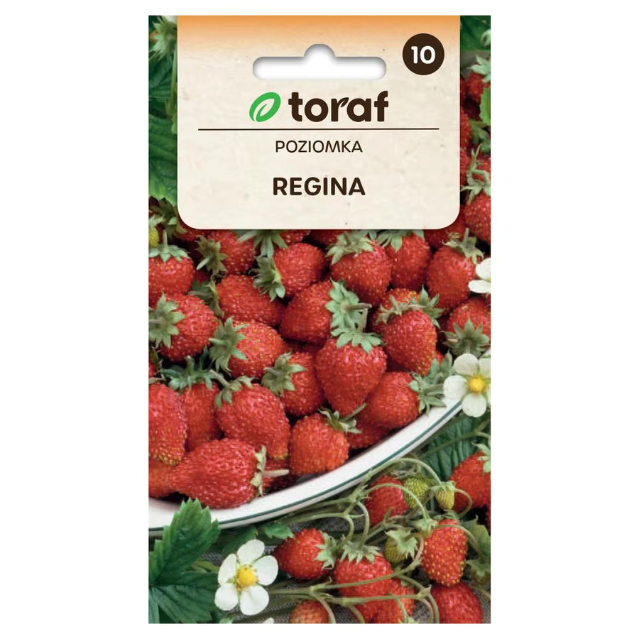 Toraf Regina Erdbeersamen, großfruchtige Sorte, Rot, 0,1 g - Bild 2