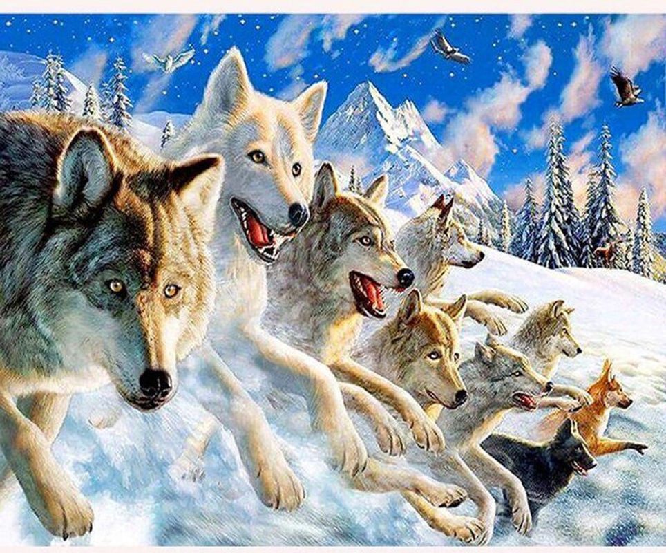 FIYO Diamond Painting Set Wolf Motiv mit Rundsteinen, Mehrfarbig, B/H: 20 x 30 cm - Bild 1