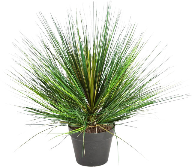 Künstliches Gras Aplanta Onion Höhe: 70 cm - Bild 1