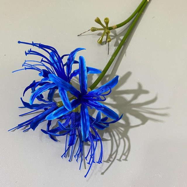 Künstliche Spinnenlilienblüten von Sweetyhome in Blau mit langem Stiel für deine Dekoration - Bild 1