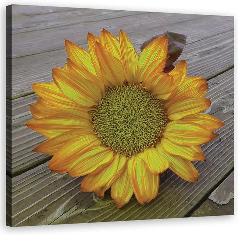Feeby Leinwandbild Sonnenblumen Gelb Floral Quadratisch B/H: 30 x 30 cm - Bild 1