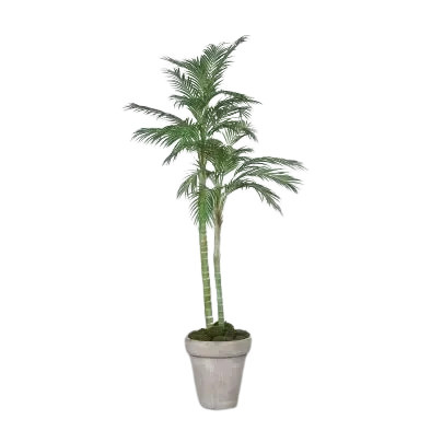 Künstliche Chico Palme Richi von artplants in Grün, Höhe: 180 cm - Bild 2