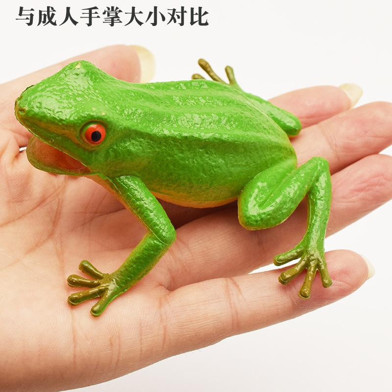 ODILO Simulation Frosch Modell Tier Spielzeug mit Geräusch - Bild 1
