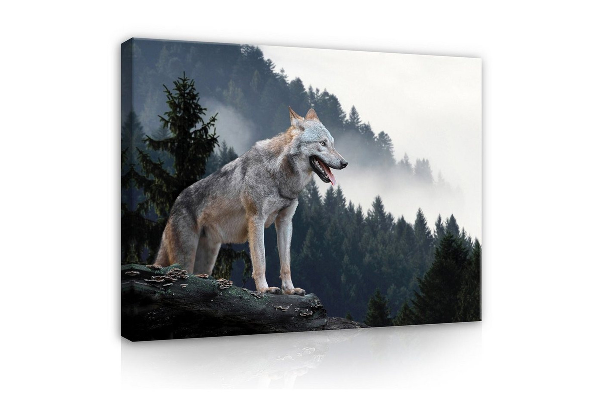 Wallarena Fototapete - Bild 1