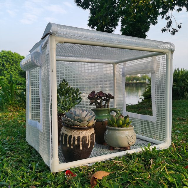 Gewächshaus und Sukkulentenunterschlupf als isolierende Abdeckung für Setzlinge, weiß und transparent, B/T/H: 25 x 25 x 25 cm - Bild 1
